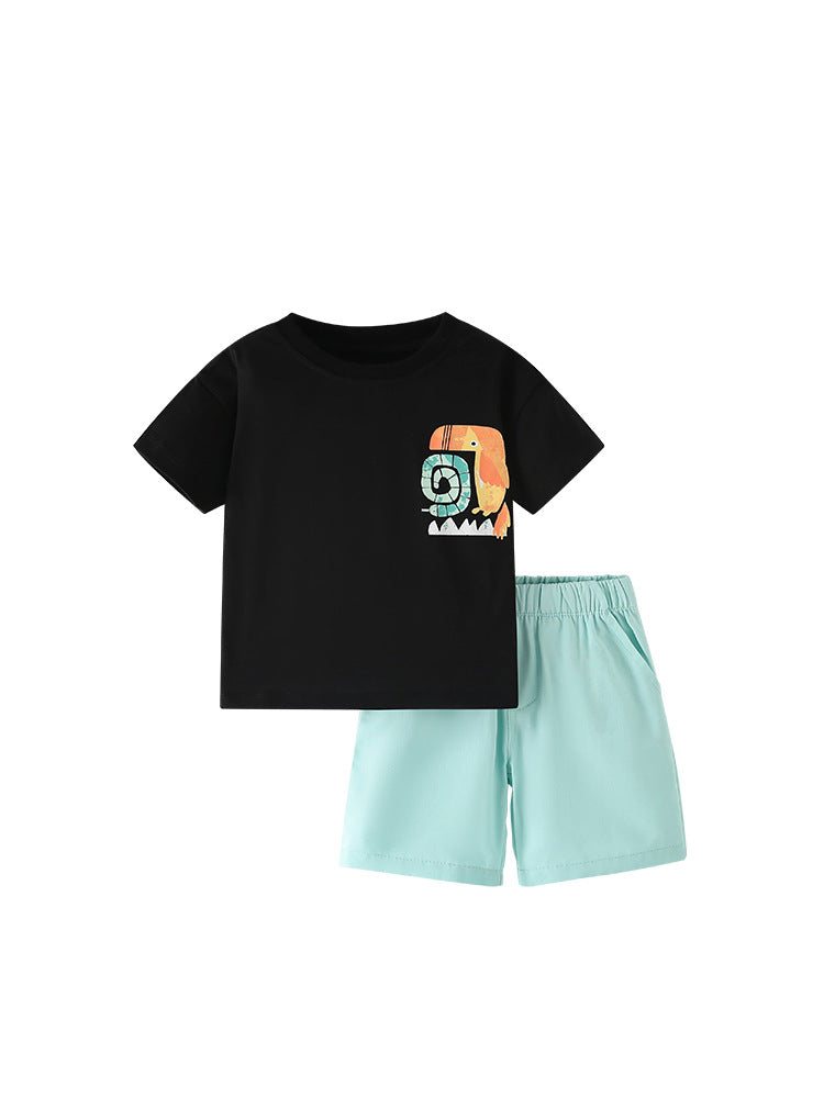 Boys Summer Outfit – Black Animal Graphic T-Shirt & Mint Shorts Set